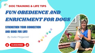 Fun Obedience amp Enrichment For Dogs [upl. by Ardnauq]