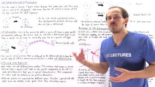 Cell Determination and Differentiation [upl. by Htiekram]