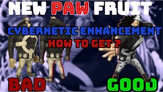 AOPG PAW V2  FULL BUFF PAW amp Cybernetic Enhancement Location SHOWCASE [upl. by Thenna295]