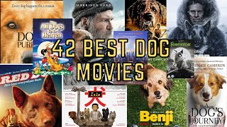 The 42 Best Dog Movies to Watch [upl. by Yrellam]