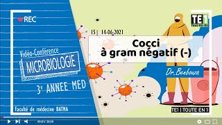 15  Cocci a gram négatif [upl. by Drucilla]