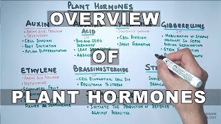 Plant Hormones  Types and Functions [upl. by Dag]