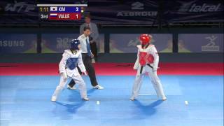 2013 WTF World Taekwondo Championships Final  Female 46kg [upl. by Ahseekan72]