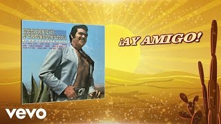 Vicente Fernández  ¡Ay Amigo Cover Audio [upl. by Eilrac]