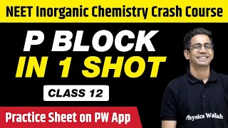 P BLOCK in 1 Shot  All Concepts Tricks amp PYQs  Class 12  NEET [upl. by Llert]