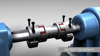 ROTEX® ZSDKMH Double cardanic jawtype coupling  KTR Systems [upl. by Dnomse]