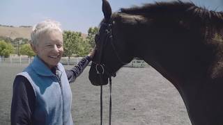 Operant Conditioning Introduction to how horses learn through Trial amp Error [upl. by Alleynad]