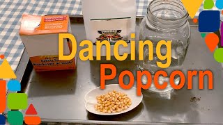 STEAM Activity Dancing Popcorn Kernels [upl. by Akinahs]