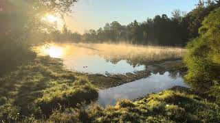 Sodalis Nature park Plainfield Indiana [upl. by Ahsienat742]