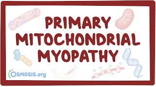 Primary mitochondrial myopathy  causes symptoms diagnosis treatment pathology [upl. by Aliban]