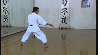 Gojushiho Sho  Efthimios Karamitsos  Karate  Kata  Shotokan [upl. by Tavi]