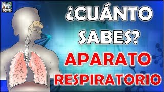 ¿Cuánto Sabes Sobre el quotAPARATO RESPIRATORIOquot TestTrivialQuiz [upl. by Damian]