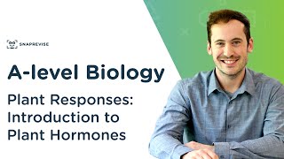 Plant Responses Introduction to Plant Hormones  Alevel Biology  OCR AQA Edexcel [upl. by Gnemgnok832]