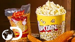 POPCORN  How Its Made [upl. by Mei]