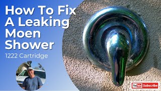 How to fix a leaking Moen Shower [upl. by Haiel]