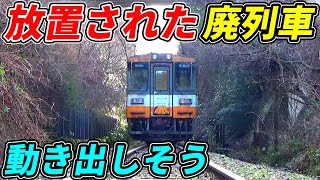 【衝撃】廃線跡に放置された列車を見に行ったら凄すぎた！！！ [upl. by Joly]