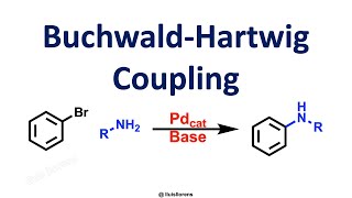 BuchwaldHartwig Coupling [upl. by Ruffi652]