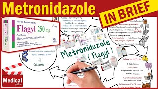 Metronidazole  Flagyl  What is Metronidazole Used For Dosage Side Effects amp Precautions [upl. by Idnarb423]