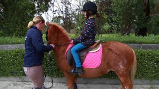 Horse Rider Position Core Exercises  Teaching Kids Series [upl. by Atsylac]