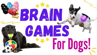 10 Easy Brain Games to Play with your Dog  Mental Stimulation for Dogs [upl. by Asennav]