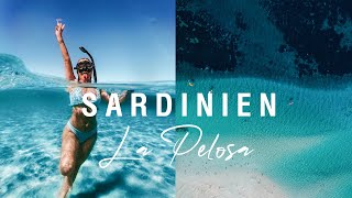 Sardinien Urlaub 2020  La Pelosa die schönste Lagune 🌊🐠 [upl. by Adnarom]