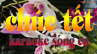 chúc tết karaoke song ca remix [upl. by Grekin]