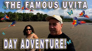 The famous Uvita Day Adventures [upl. by Auqemahs]