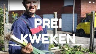 Prei kweken van zaaien tot oogsten [upl. by Kale748]