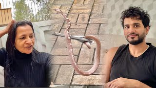 Ghar mein nikla saanp 😱 snake 🐍 [upl. by Bruyn192]