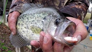 Crappie Fishing With A Bobber and Live Minnows [upl. by Shelman]