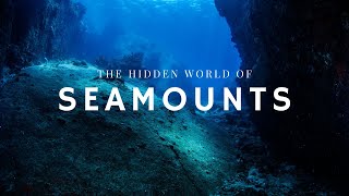 The Hidden World of Seamounts [upl. by Fischer937]