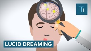 How Lucid Dreaming Works [upl. by Aniles720]