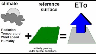 🔴Reference Evapotranspiration ETo explained ⛅️🌤 [upl. by Brockie229]