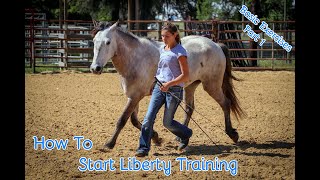 How To Start Liberty Training With Your Horse Basic Exercises Part 1 [upl. by Skipper]