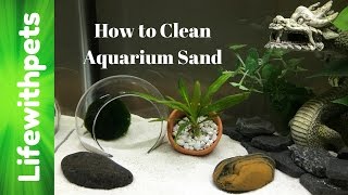 How to Clean Aquarium Sand [upl. by Enilada]