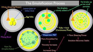 The Emulsification Process [upl. by Notniuq730]