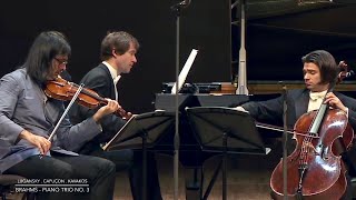 Lugansky  Capuçon  Kavakos  Brahms Piano Trio No 3 [upl. by Pernell]