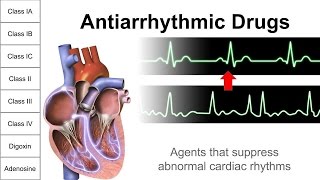 Antiarrhythmic Drugs [upl. by Omland]