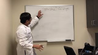 “Stroke” NAION vs retinal artery occlusion [upl. by Isle]