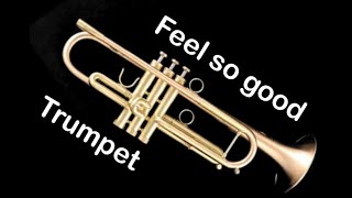 Feel so good Trumpet [upl. by Aidaas]