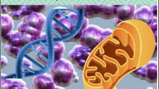 Enfermedad mitocondrial Resumen Estrés oxidativo [upl. by Airtemed]