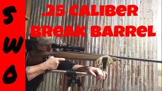 Benjamin Trail NP XL 25 Caliber Review THE BOSS OF BREAK BARRELS [upl. by Aihsad476]