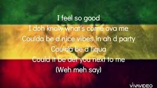 Collie Buddz  I feel so good Lyrics [upl. by Jamesy70]