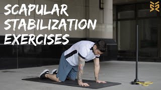 11 Scapular Stabilization Exercises [upl. by Kataway]