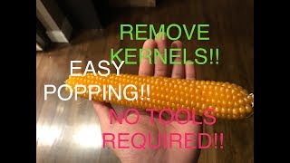 HOW TO Homegrown Popcorn Cob Kernel Removal EASY NO TOOLS REQUIRED [upl. by Notloc]