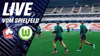 RELIVE  Vorbericht OSC Lille  VfL Wolfsburg  UEFA Champions League [upl. by Colbye438]