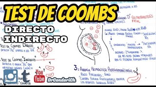 Test de Coombs prueba de antiglobulina [upl. by Weisler]